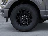 Thumbnail of 2025 Carbonized Gray Metallic Ford F-150