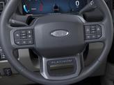 Thumbnail of 2025 Agate Black Metallic Ford F-250