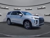 Photo of 2025 Typhoon Silver Hyundai PALISADE