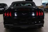Thumbnail of 2019 Shadow Black Ford Mustang