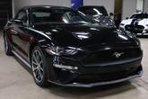 Thumbnail of 2019 Shadow Black Ford Mustang