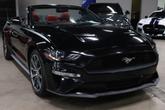 Thumbnail of 2019 Shadow Black Ford Mustang