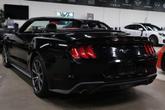 Thumbnail of 2019 Shadow Black Ford Mustang