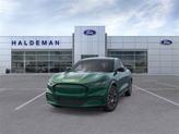 Thumbnail of 2025 Eruption Green Metallic Ford Mustang Mach-E