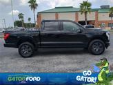 Thumbnail of 2025 Black Ford F-150 Lightning