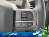 Thumbnail of 2025 Black Ford F-150 Lightning