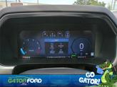 Thumbnail of 2024 Carbonized Gray Metallic Ford F-150