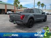 Thumbnail of 2024 Carbonized Gray Metallic Ford F-150