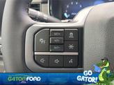 Thumbnail of 2025 Silver Metallic Ford F-150