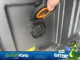 Thumbnail of 2024 Blue Metallic Ford F-150