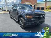 Photo of 2024 Blue Metallic Ford F-150