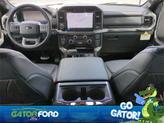 Thumbnail of 2025 Black Ford F-150