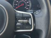 Thumbnail of 2022 Passion Red Tintcoat Kia Sorento