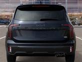 Thumbnail of 2025 Panthera Metal Kia Telluride
