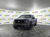 Thumbnail of 2025 Blue Ford F-150