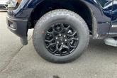 Thumbnail of 2025 Blue Ford F-150