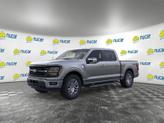Thumbnail of 2025 Gray Ford F-150