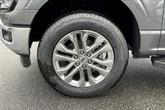 Thumbnail of 2025 Gray Ford F-150