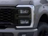 Thumbnail of 2026 Gray Ford F-350