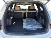 Thumbnail of 2025 Glacial White Pearl Kia Sorento