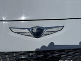 Thumbnail of 2022 Siberian Ice Genesis G70