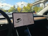 Thumbnail of 2020 Pearl White Multi Tesla Model 3