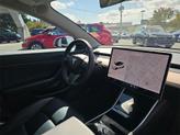 Thumbnail of 2020 Pearl White Multi Tesla Model 3