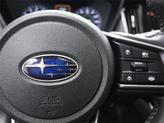Thumbnail of 2023 Autumn Green Metallic Subaru Outback