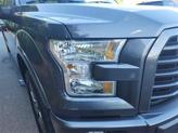 Thumbnail of 2016 Magnetic Ford F-150