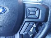Thumbnail of 2016 Magnetic Ford F-150