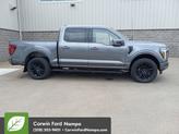 Thumbnail of 2025 Carbonized Gray Metallic Ford F-150