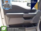 Thumbnail of 2023 Avalanche Gray Ford F-150