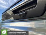 Thumbnail of 2018 Magnetic Ford F-150