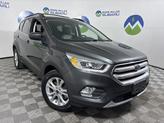 Photo of 2019 Magnetic Ford Escape