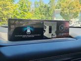Thumbnail of 2024 Vik Black Genesis GV80