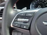 Thumbnail of 2023 Tasman Blue Genesis G70