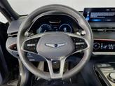 Thumbnail of 2022 Vik Black Genesis GV70