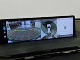 Thumbnail of 2022 Vik Black Genesis GV70