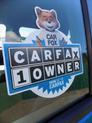 Thumbnail of 2019 Blue Ford F-150
