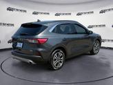 Thumbnail of 2020 Magnetic Ford Escape