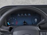 Thumbnail of 2025 Avalanche Ford F-250