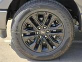 Thumbnail of 2025 Carbonized Gray Metallic Ford F-150