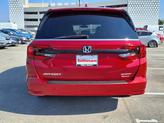 Thumbnail of 2023 Red Honda Odyssey