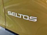 Thumbnail of 2024 Green / Black Kia Seltos