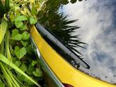 Thumbnail of 2023 Starbright Yellow Kia Seltos