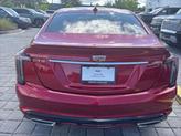 Thumbnail of 2024 Radiant Red Tintcoat Cadillac CT5