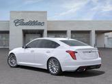 Thumbnail of 2025 Summit White Cadillac CT5