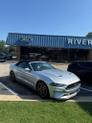 Thumbnail of 2019 Sv Ford Mustang