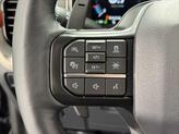 Thumbnail of 2022 Agate Black Metallic Ford F-150
