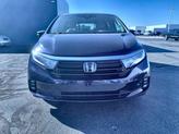 Thumbnail of 2021 Blue Honda Odyssey